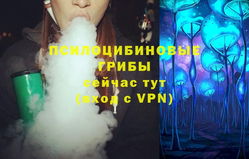 Псилоцибиновые грибы Magic Shrooms  что такое   Андреаполь 